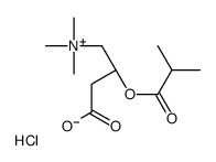 1-Propanaminium, 3-carboxy-N,N,N-trimethyl-2-(2-methyl-1-oxopropoxy)-, chloride, (R)-